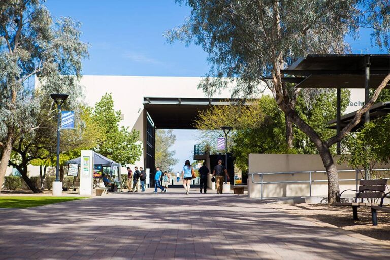 Pima Community College D2L