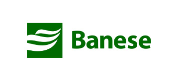Banese Customer Logo