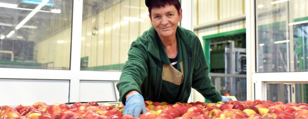 A man placing apples on a table and smiling at the camera