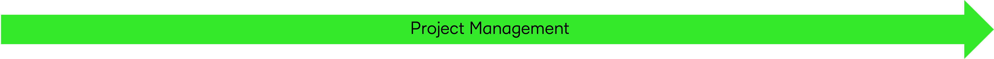 Prject Management